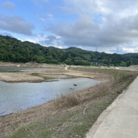水位が下がった時期の白い森おぐに湖と歩ける道