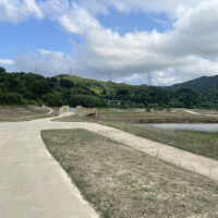 出現した歩ける道
