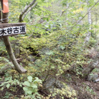 右岸の道