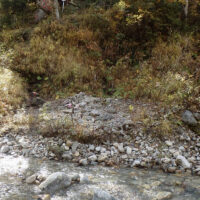 船窪分岐、より上流は、道が不明瞭になるが水量が減ってくるので、どこを歩くかは状況に合わせて現地で判断する。