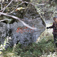 二股にある大岩に本谷出合と書かれている