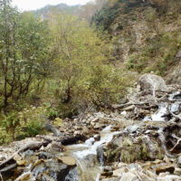 山肌の崩落で荒れた箇所もある