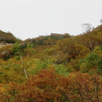標高2300m、針ノ木峠の小屋が見えてくる