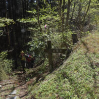 登山道と林道が交差