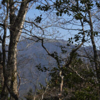 瓶ヶ森遠望