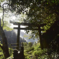 登山口から少し登った所にある鳥居