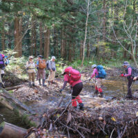 四十八瀬の渡渉の様子