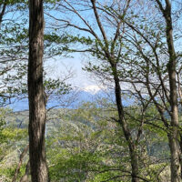 春浅いころには上州武尊山など北の雪山も望める