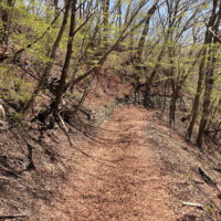 穴山手前の下り。道は広く歩きやすい。