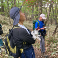 峠まで道標は無いのでルートを確認しながら進む