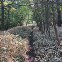 古道の歴史を偲ばせる細道が続く