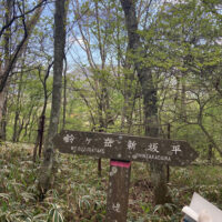 登り切ると姥子峠の道標が迎えてくれる