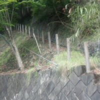森林管理道大血川線