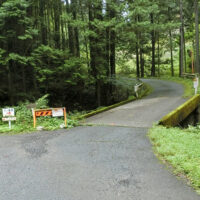 子の権現への分岐（林道双沢（ならびざわ）線
