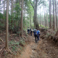 峰山付近の洗堀道：元の高山道は参詣人や荷駄を積んだ馬が通行できるように地元で常に整備されていました。道を利用する人が少なくなると、豪雨で洗い堀りされトレンチ状です。