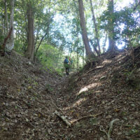 薬師堂裏の高山道：奥武蔵の山道は村人の経済的要求（物質交換を担う村人の通行）によって作られたと共に、信仰上の参路として開かれたのでしょう。薬研堀の馬道でもあります。