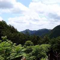 双子の越上山：小さな乗越を上がりジグザクの道を行くと伐採地へでます。伐採地からは越上山の双子の稜線が確認できます。地元ではこの姿から「おしりやま」の別名があります。