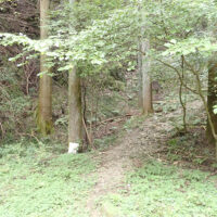 七曲りの入り口：砂防ダムのある宗ヶ入の谷を見送り、次の谷が七曲りへの入り口です。この谷を仮称「七曲り入」としておきます。古い地図でもこの涸れた谷間を通る道が描かれています。