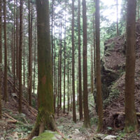 谷間の険しさ：七曲りの九十九折り直前で後ろを振り返ると狭い谷の右岸は巨岩に覆われているのがよく観察できます。狭い谷は荒れており、降雨時の歩行はさけるべきでしょう。