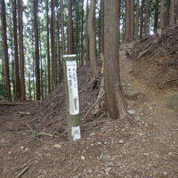 七曲の分岐を右へ：高山道はここを越えて八徳側の山腹を巻く道形が今でも残っていますが、林道の擁壁で消失しています。不動堂へ直接通じていた高山道です。奥の院へは右の尾根道を登ります。