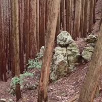 ダルマ石だろうか？：高山道にはこの他に様々な奇岩が残されていたとのことです。現在それらしい奇岩はこの岩だけです。本来の高山道はこの中腹を通っていたので見上げたのでしょうか。