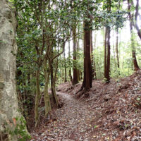 大峠付近の西参道：高畑の小峠の道が合流する所を大峠と呼びます。愛宕社は尾根上に鎮座しています。祠には地蔵・不動・毘沙門天が祀られ、文化十一年（1814年）銘、施主は岡部氏西大膳で、舟型浮彫三尊立像が建立されています。