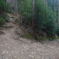 シバハラ坂：昔の高山不動尊西の参詣道とされており、こちらが吾野からの表参道だと言われています。道幅が広く普通の山道とは異なる雰囲気があります。