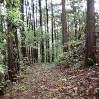 薬師堂からの廃道：古い高山道の面影を残す趣のある約一間幅の道です。江戸時代後期安政五年（1855年）、高山不動尊杉本坊へ疫病退散祈祷願いのためにこの道を辿った村人がいます。