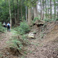 蒔山分岐で左へ：堀割状になった分岐では道なりに進みます。この辺りは読図が必要で右にゆくと尾根通しで蒔山（槇山・四等三角点「黒山」）への急な直登道に続きます。