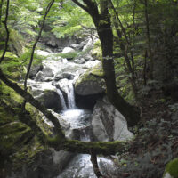 川に沿って道は続く