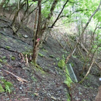 排水溝を渡る。旧秩父往還が崩壊している。