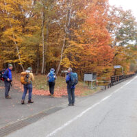 雁坂峠登山口の道標：新久度渡の沢橋の手前を左折