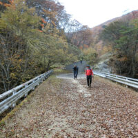 沓切沢橋：車道の終点
