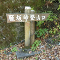 国道140号の雁坂峠登山口
