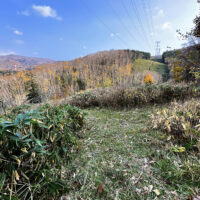 南の山の奥へと延びる送電線。左に蓬莱山