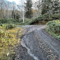 右に曲がると青い川林道。旧道は左へ