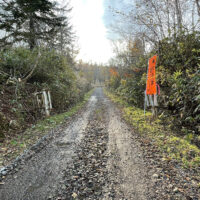 青い川林道の入口
