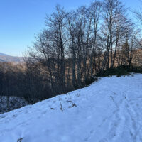 左手に無意根山。旧道は右へ