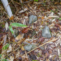 水準点の防衛石にみえるが