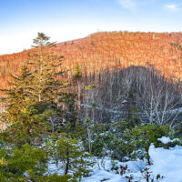 800m岩峰上から見た蓬莱山（中央）、無意根山（左）と旧道（下）