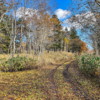 880m峰と832m峰のコル付近。旧道は右へ。左へ進むと旧旧道