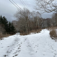 左が定山渓トンネルの入口に出る大曲7号林道。右は旧道の中山峠方面