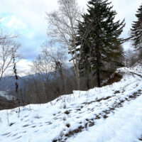 定山湖を見ながら降っていく