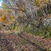 山側の石積み擁壁