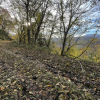 標高660m付近の左カーブから無意根山を望む