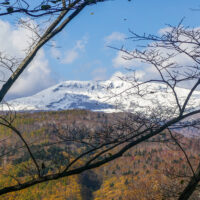無意根山