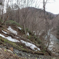 道はほとんどなくなっている