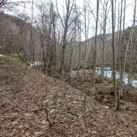 再び道が現れる