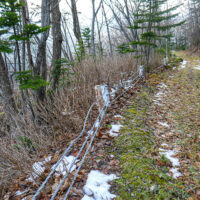 中山峠旧道、薄別川（西）側の危険箇所