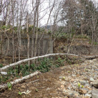 左岸には2つの橋台が並んで残っている